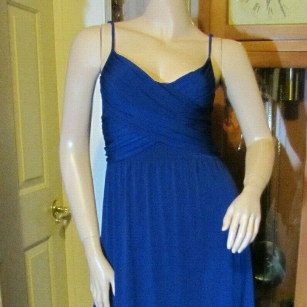 NWT Jennifer Lopez Ravishing Rio Dress